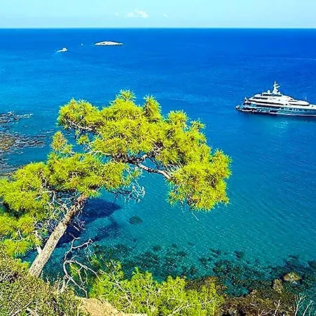 Hotel Ascos Coral Peyia